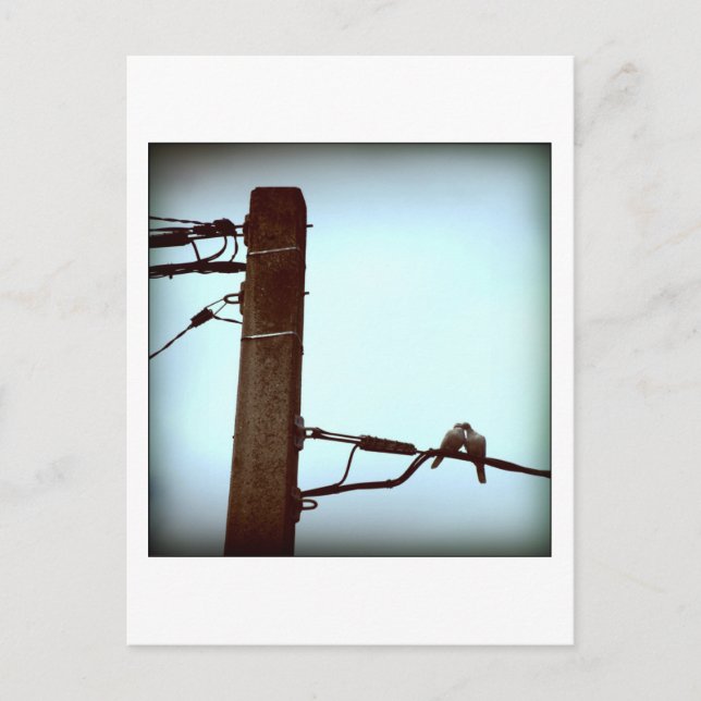 THE KISS Postcard (Front)