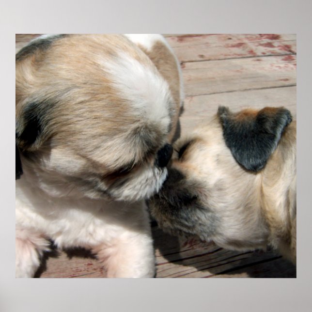 The Kiss Poster (Front)