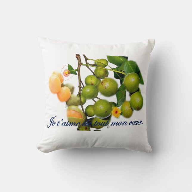 The kitchenette throw pillow (Front)