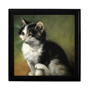 The Kitten Jewelry Box