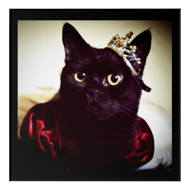 The Kitty Princess  Acrylic Print (Front)