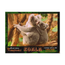 THE KOALA (Bear) is endangered, read this:  -