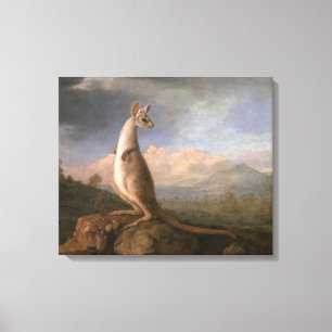 The Kongouro From New Holland by George Stubbs Canvas Print