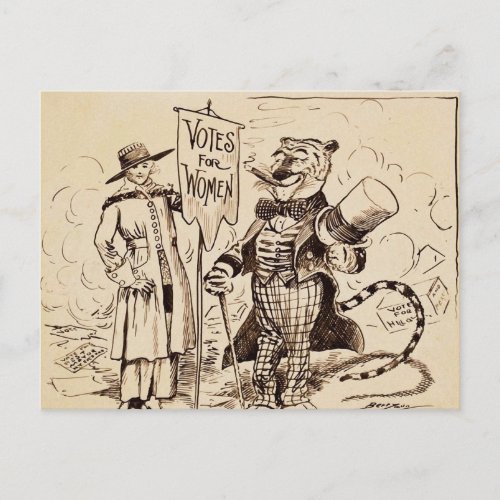 The Lady and the Tiger by Clifford K Berryman Postcard