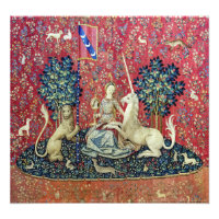 The Lady and the Unicorn, Sight