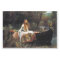 The lady of shallot decoupage