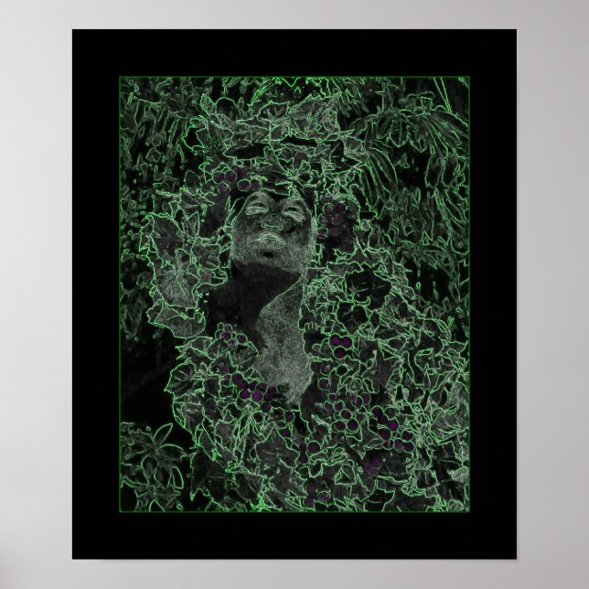 The Lady of the Forest Poster (Front)