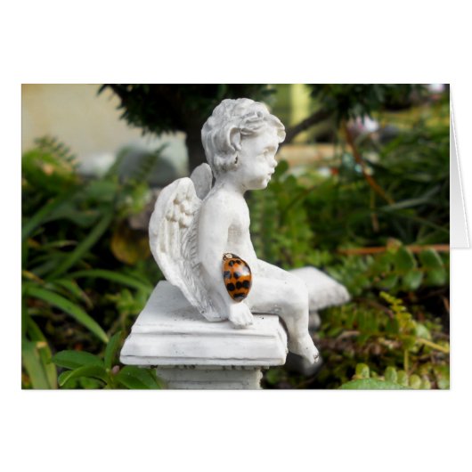 The Ladybug and the Cherub Cards (Front Horizontal)
