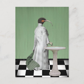 The Lady's Bath Postcard