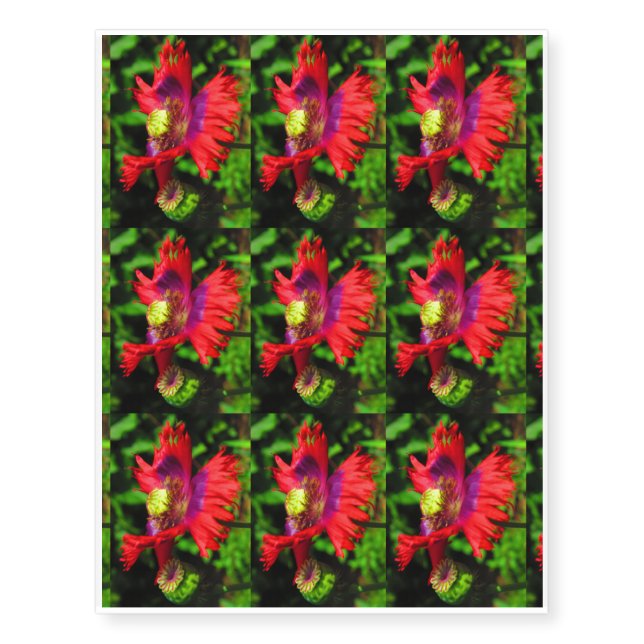 The Lamp flag poppy 9 per sheet Temporary Tattoos (Front)