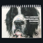 The Landseer Newfoundland Calendar<br><div class="desc">Newfoundland dog lovers - here is a calendar just for you, filled with art celebrating the traits of this noble breed: gentleness, calm, and strength. It's no secret that Canadian artist JC Little loves dogs; she has painted and drawn hundreds of them. But the Newfoundland has a special place in...</div>