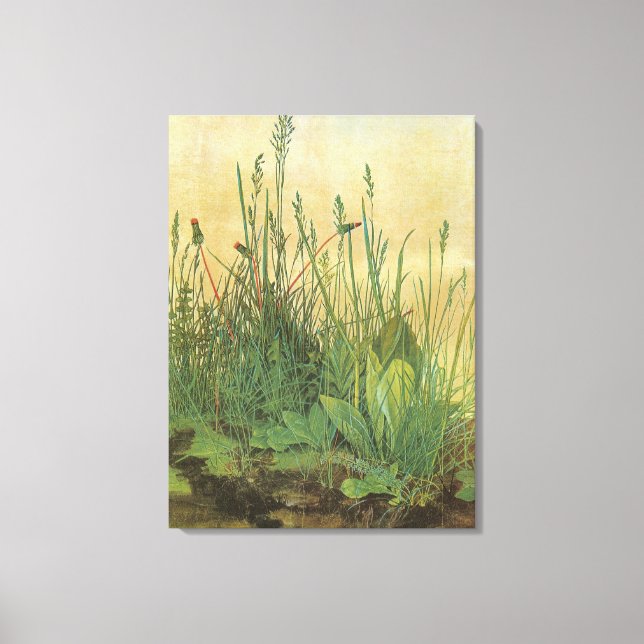 The Large (Great) Piece of Turf by Albrecht Durer Canvas Print (Front)
