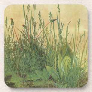 The Large (Great) Piece of Turf by Albrecht Durer Coaster