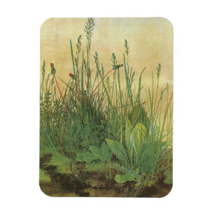 The Large (Great) Piece of Turf by Albrecht Durer Magnet