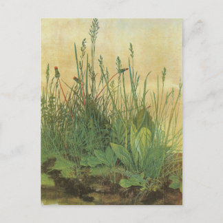 The Large (Great) Piece of Turf by Albrecht Durer Postcard