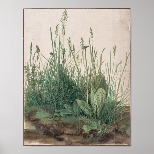 The Large Piece of Turf by Albrecht Durer Poster