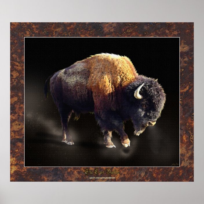 The Last Buffalo Wildlife History Fine Art Poster | Zazzle.com