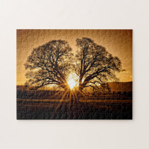 The Last Burst of Sunset - 11x14 - 252 pcs. Jigsaw Puzzle