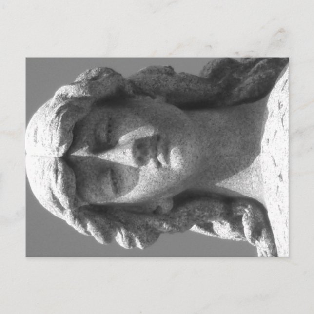 The Last Rose 3 Black and White Postcard (Front)