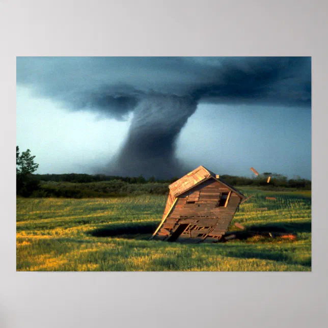 The Last Stand Poster | Zazzle