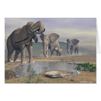 The Last Watering Hole Cards