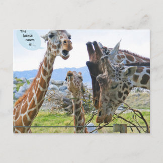 The Latest News is Postcard