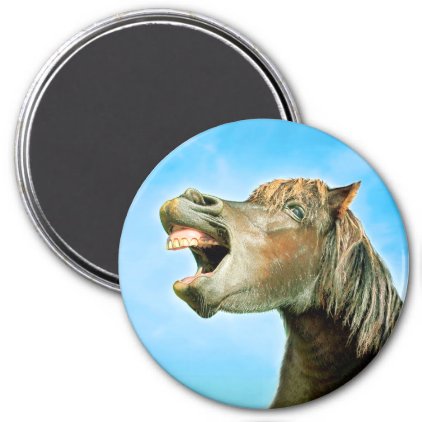 The laughing horse magnet