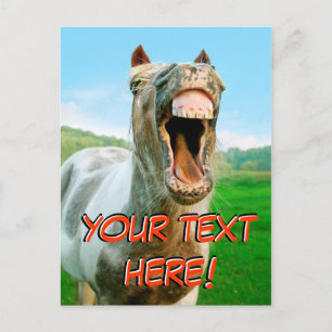 The laughing horse postcard