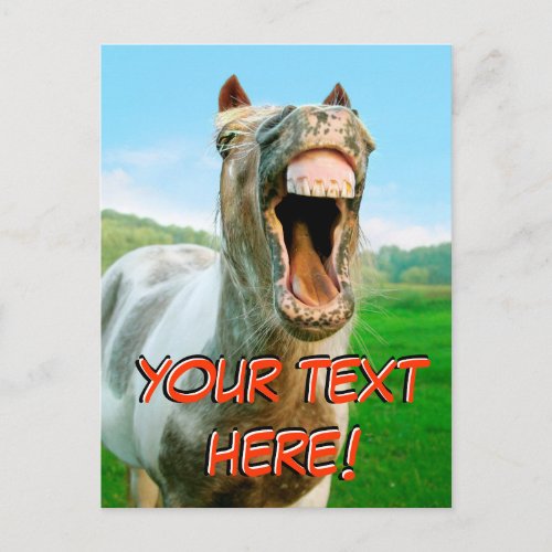 The laughing horse postcard