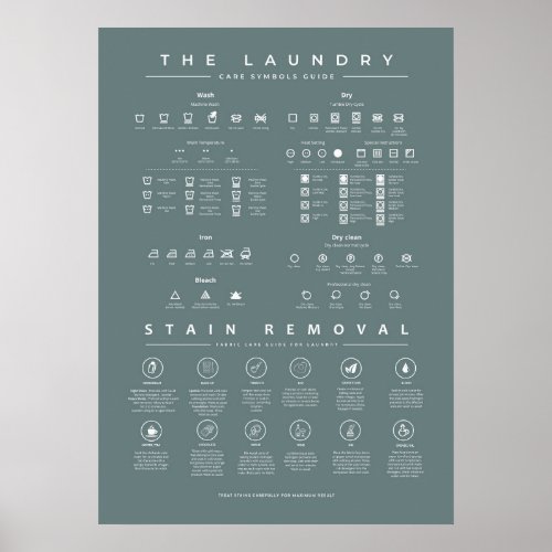 The Laundry Guide with Stain Removal Aspalt Poster