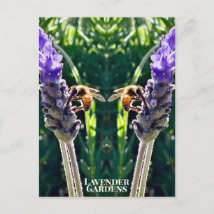 The Lavender & The Bee Postcard