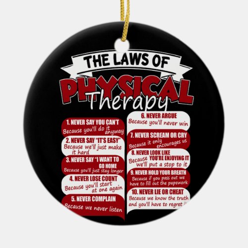 The Laws Of Physical Therapy Awesome Therapist Ceramic Ornament
