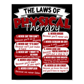 The Laws Of Physical Therapy Awesome Therapist Poster