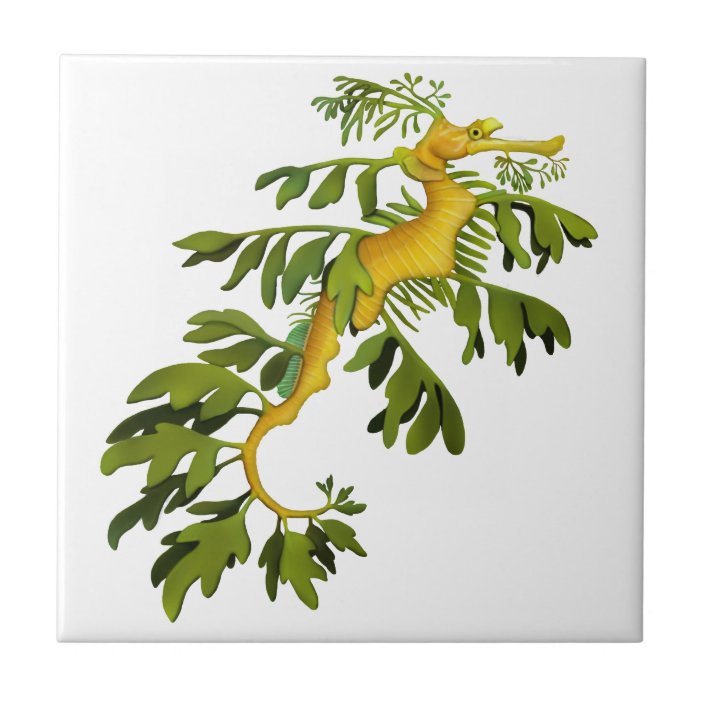 The Leafy Sea Dragon Art Tile | Zazzle.com