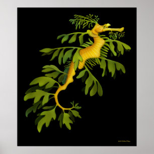 The Leafy Sea Dragon Seahorse Poster
