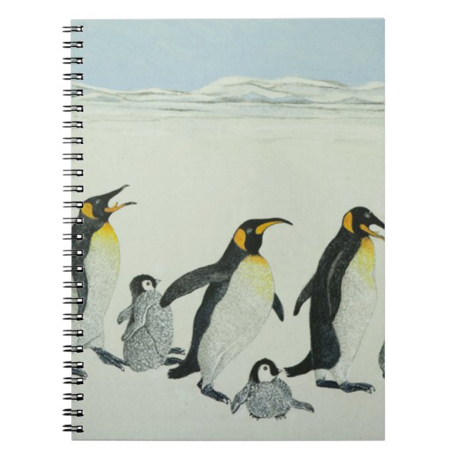 The learning curve notebook (Front)