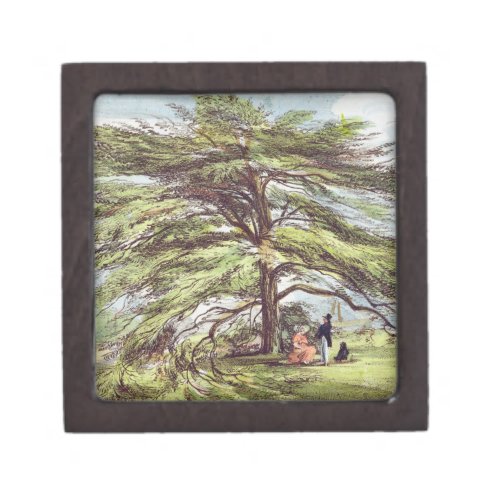 The Lebanon Cedar Tree in the Arboretum Kew Garde Jewelry Box