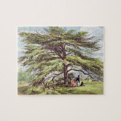 The Lebanon Cedar Tree in the Arboretum Kew Garde Jigsaw Puzzle