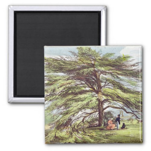 The Lebanon Cedar Tree in the Arboretum Kew Garde Magnet