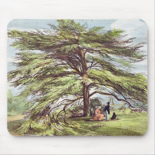 The Lebanon Cedar Tree in the Arboretum Kew Garde Mouse Pad