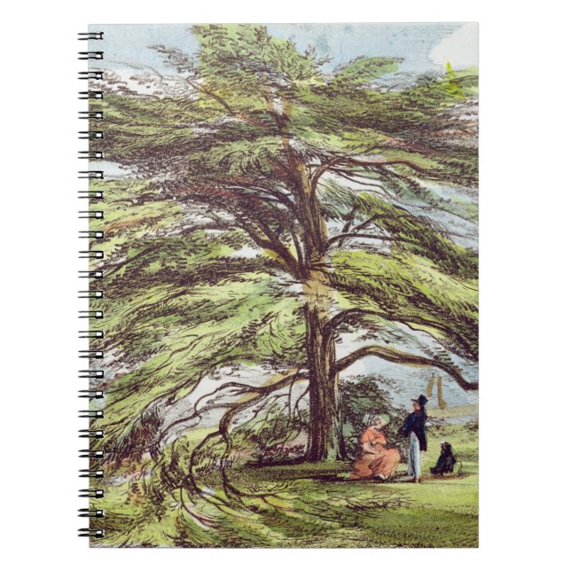 The Lebanon Cedar Tree in the Arboretum, Kew Garde Notebook (Front)