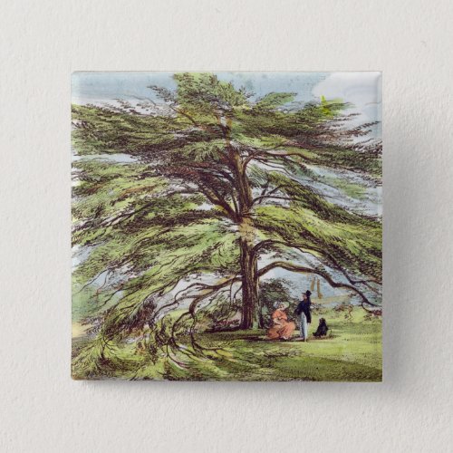 The Lebanon Cedar Tree in the Arboretum Kew Garde Pinback Button