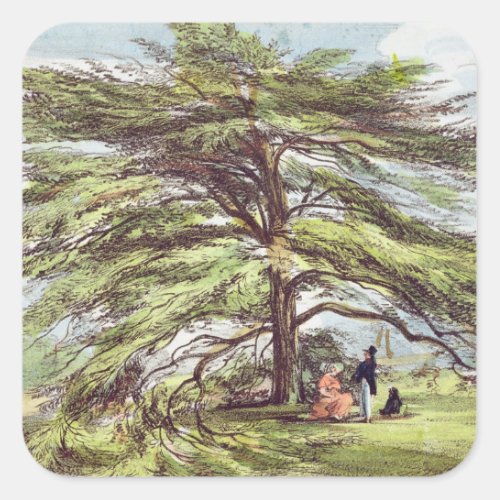 The Lebanon Cedar Tree in the Arboretum Kew Garde Square Sticker