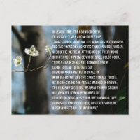 The Legend of the Dogwood