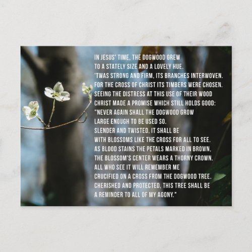 The Legend of the Dogwood Postcard