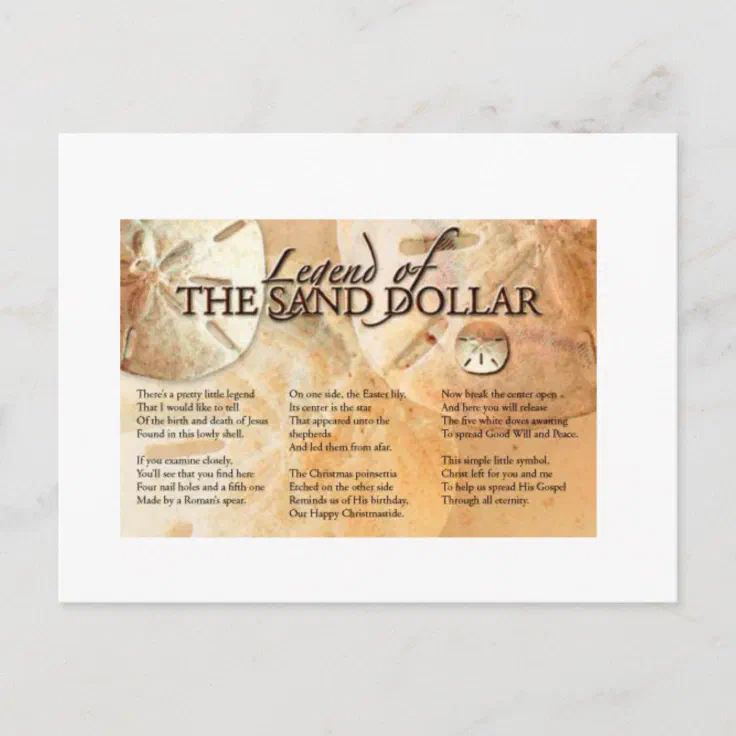 The Legend Of The Sand Dollar Postcard Zazzle