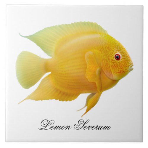 The Lemon Severum Cichlid Fish Tile