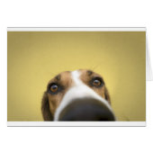 the lens cleaner (Front Horizontal)