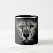 The Leopard, black and white, stunning