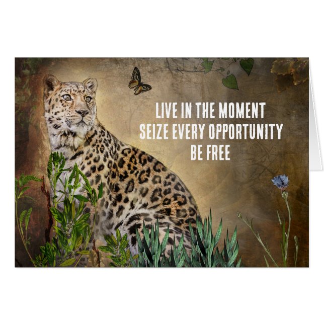 The Leopard Butterfly Inspirational Quote Cards (Front Horizontal)
